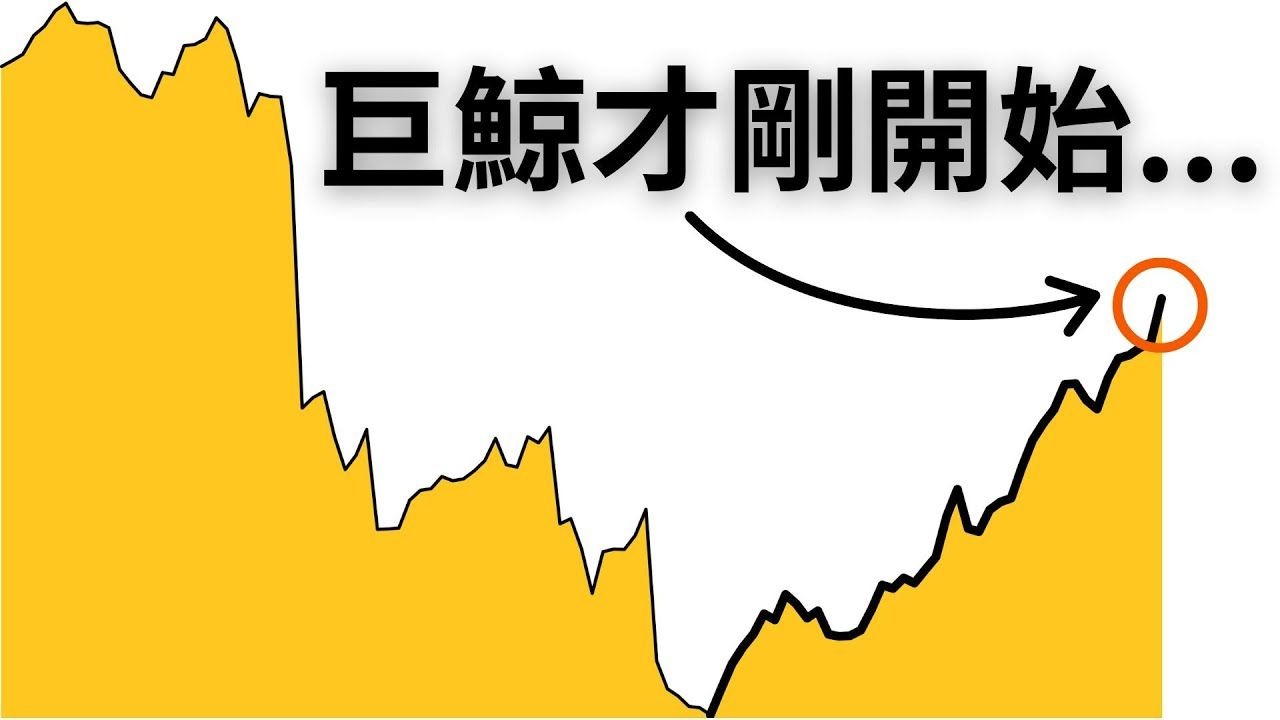 这个数据告诉我比特币巨鲸真正的计划......